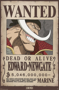 Affiche Poster One Piece Wanted Whitebeard 61x91 5cm GBYDCO596 | Yourdecoration.fr