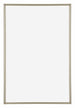 Annecy Plastique Cadre Photo 60x85cm Champagne De Face | Yourdecoration.fr