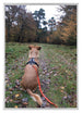 Aurora Aluminium Cadre Photo 21x29 7cm A4 lot de 3 Argent De Face Photo | Yourdecoration.fr