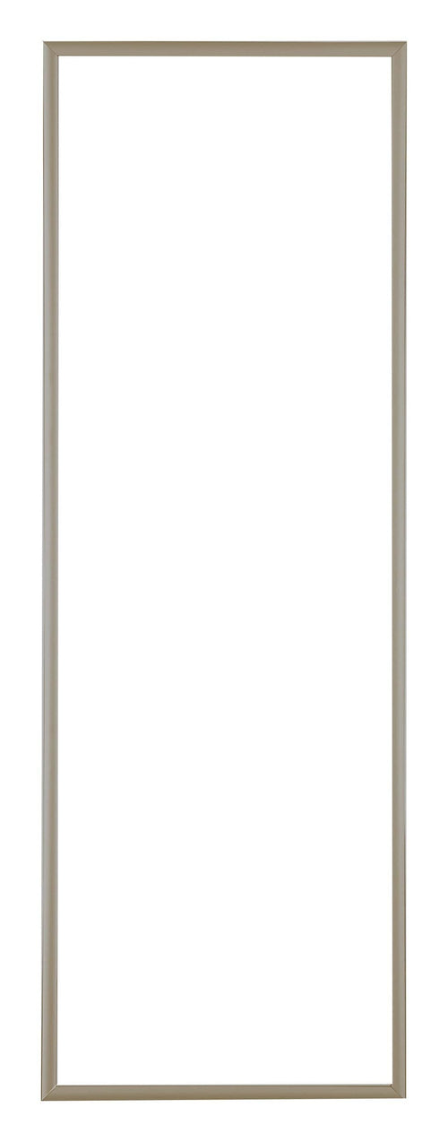 Austin Aluminium Cadre Photo 20x60cm Champagne De Face | Yourdecoration.fr