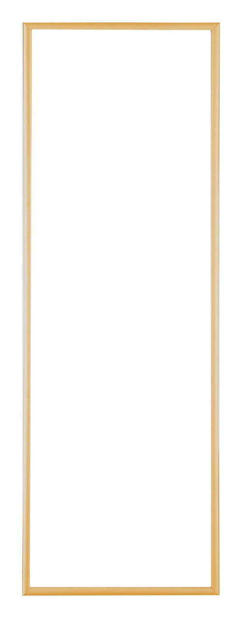 Austin Aluminium Cadre Photo 20x60cm Or Vintage De Face | Yourdecoration.fr