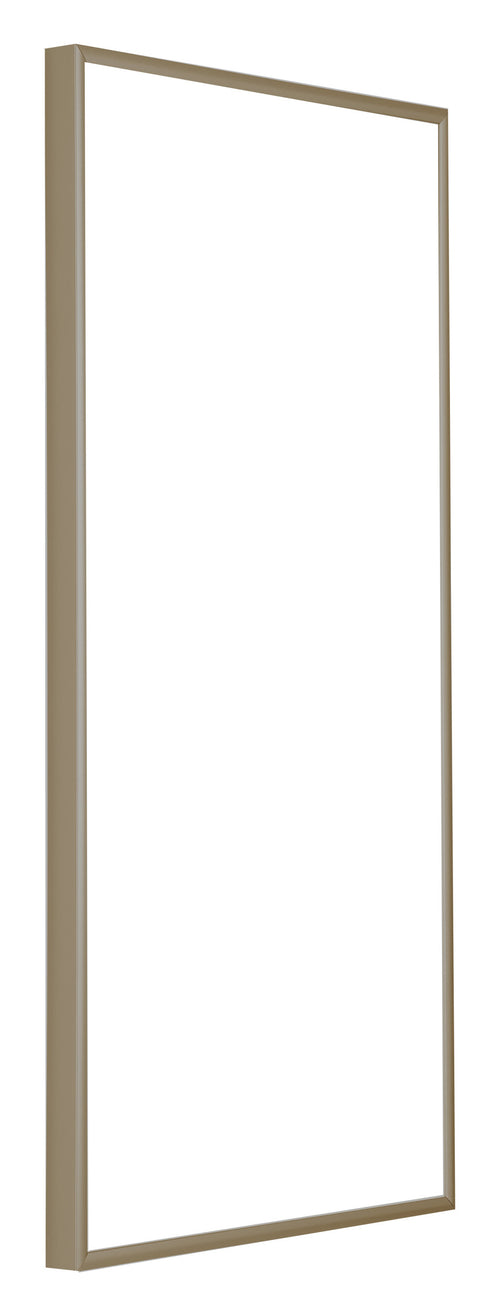 Austin Aluminium Cadre Photo 30x60cm Champagne De Face Oblique | Yourdecoration.fr