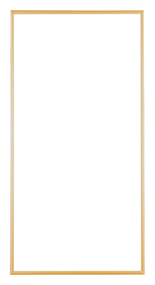 Austin Aluminium Cadre Photo 45x80cm Or Vintage De Face | Yourdecoration.fr