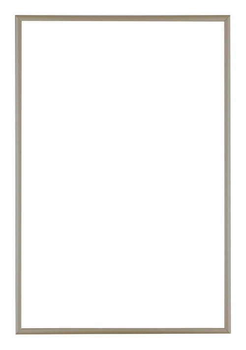 Austin Aluminium Cadre Photo 60x85cm Champagne De Face | Yourdecoration.fr