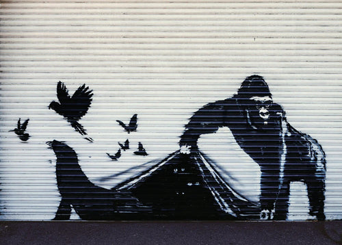 Affiche Art Banksy - Gorilla London Zoo 70x50cm
