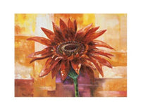 PGM RNW 2084 Rian Withaar The eye of the Flower Affiche Art 30x24cm | Yourdecoration.fr
