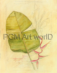 PGM TNA 52 Avery Tillmon Botanical Journal I Affiche Art 56x71cm | Yourdecoration.fr
