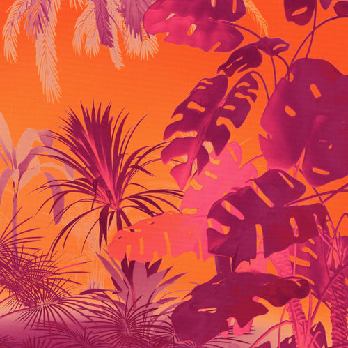Papier Paint Funky Jungle 250x250cm Komar FLX5 049 | Yourdecoration.fr