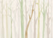 Papier Paint Shadow Woods 350x250cm FLX7 008 | Yourdecoration.fr