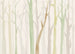 Papier Paint Shadow Woods 350x250cm FLX7 008 | Yourdecoration.fr