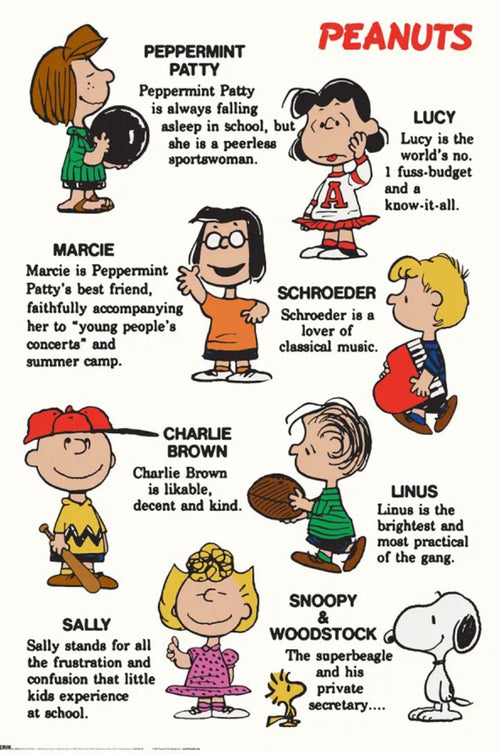 Poster Snoopy Characters 61x91 5cm GPE6018 | Yourdecoration.fr