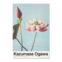 Grupo Erik Gpe5630 Affiche Art Lotus Flowers By K Ogawa | Yourdecoration.fr