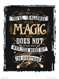 Grupo Erik Harry Potter Magic Affiche Art 30X40cm | Yourdecoration.fr