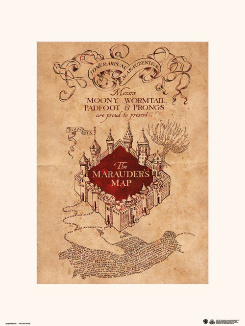 Grupo Erik Harry Potter The Marauders Map Affiche Art 30X40cm | Yourdecoration.fr