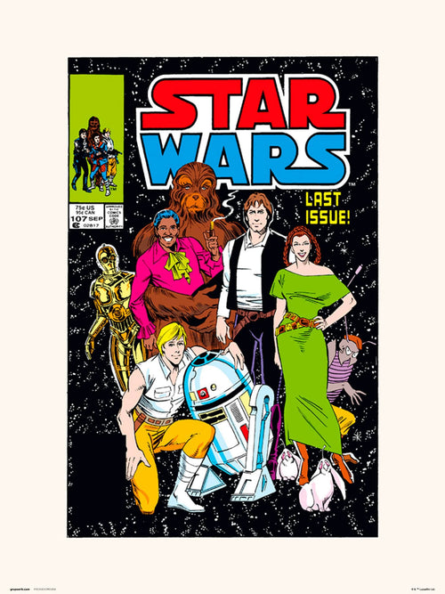 Grupo Erik Star Wars 107 All Together Now Affiche Art 30X40cm | Yourdecoration.fr