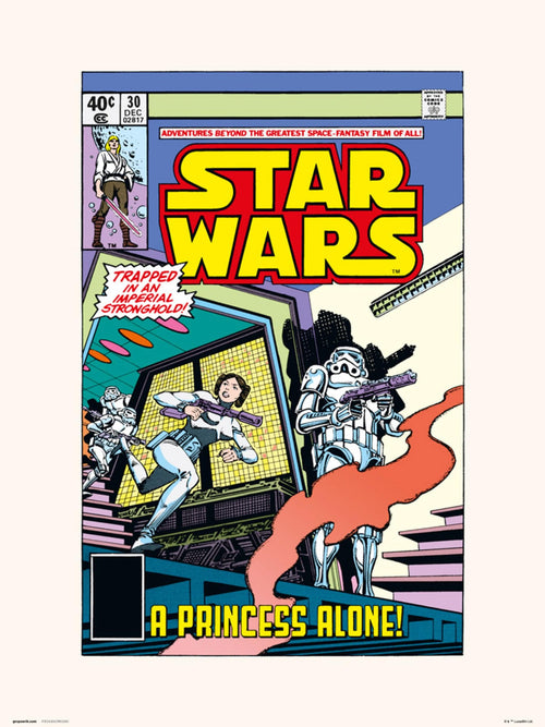 Grupo Erik Star Wars 30 A Princess Alone Affiche Art 30X40cm | Yourdecoration.fr