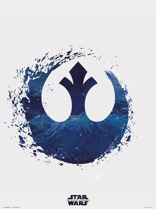 Grupo Erik Star Wars Episode Ix Rebel Logo Affiche Art 30X40cm | Yourdecoration.fr
