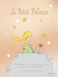 Grupo Erik The Little Prince Fr Affiche Art 30X40cm | Yourdecoration.fr