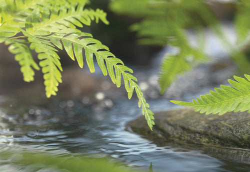 Komar Intisse Papier Peint 1611 I Along The River | Yourdecoration.fr