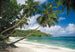 Komar Intisse Papier Peint 8 308 Tropical Sea | Yourdecoration.fr