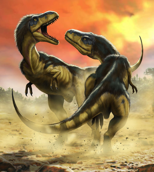 Komar Intisse Papier Peint Iangx5 006 Albertosauruses Fight | Yourdecoration.fr