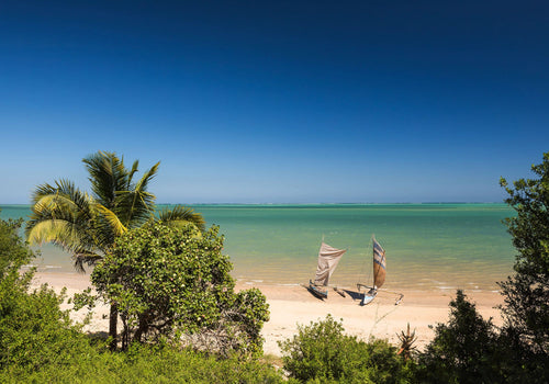 Komar Intisse Papier Peint Iangx8 003 Madagascar Hideout | Yourdecoration.fr