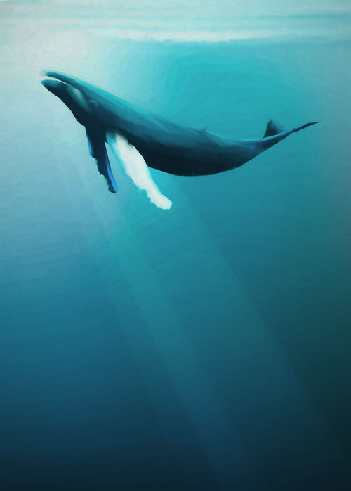 Komar Intisse Papier Peint Iax4 0045 Artsy Humpback Whale | Yourdecoration.fr