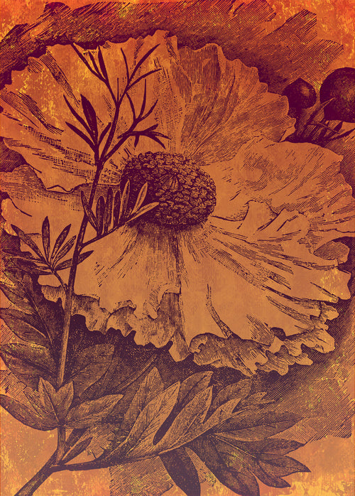 Komar Intisse Papier Peint Inx4 031 Harvest | Yourdecoration.fr