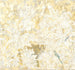 Komar Intisse Papier Peint Inx6 067 Jungle Maze | Yourdecoration.fr