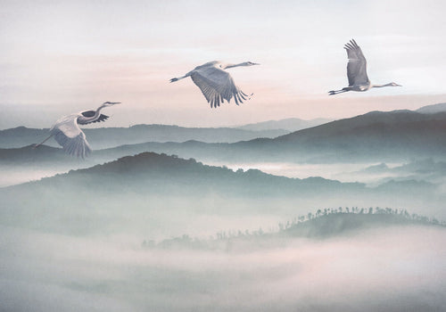 Komar Intisse Papier Peint Inx8 083 Mystic Cranes | Yourdecoration.fr