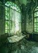 Komar Intisse Papier Peint Shx4 145 Stanza Verde | Yourdecoration.fr