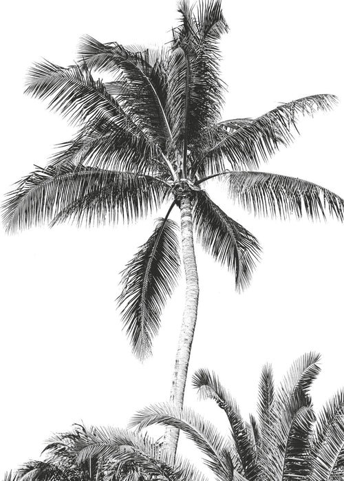 Komar Intisse Papier Peint Iax4 0011 Retro Palm | Yourdecoration.fr