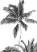 Komar Intisse Papier Peint Iax4 0011 Retro Palm | Yourdecoration.fr