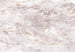 Komar Intisse Papier Peint Inx8 057 Kingdom | Yourdecoration.fr