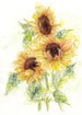 Komar Intisse Papier Peint X4 1008 Girasol | Yourdecoration.fr