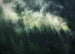 Komar Intisse Papier Peint X7 1003 Misty Crowns | Yourdecoration.fr