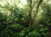 Komar Intisse Papier Peint X7 1009 Mindfulness | Yourdecoration.fr