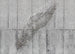 Komar Intisse Papier Peint X7 1023 Concrete Feather | Yourdecoration.fr