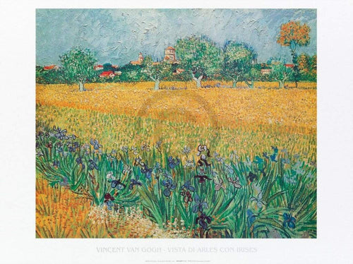 Vincent Van Gogh Vista di Arles Con Irises affiche art 80x60cm | Yourdecoration.fr