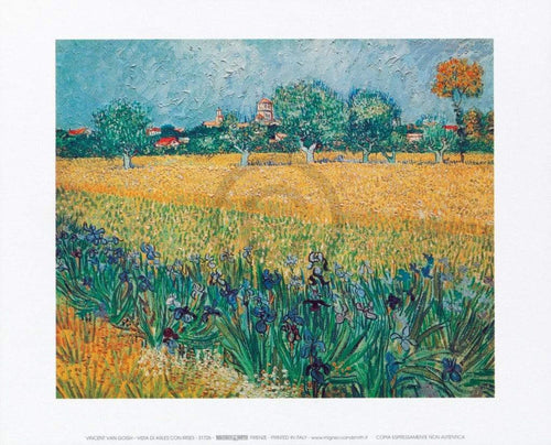 Vincent Van Gogh Vista di Arles Con Irises affiche art 30x24cm | Yourdecoration.fr