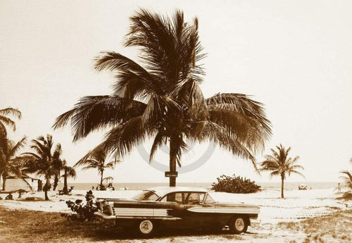 Barbara Dombrowski Havanna III affiche art 70x50cm | Yourdecoration.fr