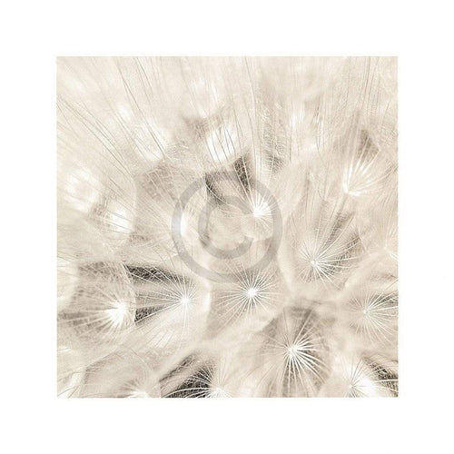 Adam Brock On the Breeze affiche art 51x51cm | Yourdecoration.fr