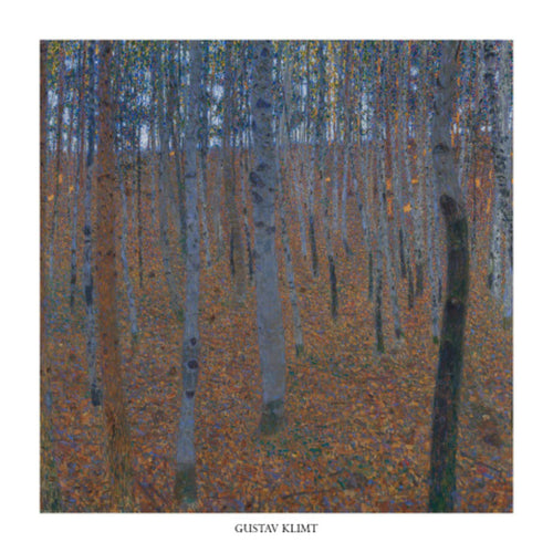 Gustav Klimt Faggeto affiche art 70x70cm | Yourdecoration.fr