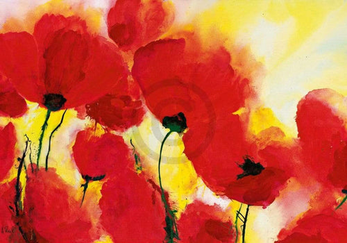 Heidi Reil  Roter Mohn Toskana affiche art 100x70cm | Yourdecoration.fr