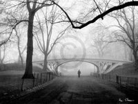 Henri Silberman  Gothic Bridge, Central Park NYC affiche art 80x60cm | Yourdecoration.fr