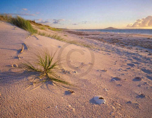 Popp Hackner Northland Karikari Bay affiche art 90x70cm | Yourdecoration.fr