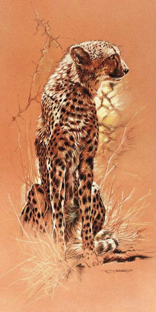 Renato Casaro  Cheetah affiche art 50x100cm | Yourdecoration.fr