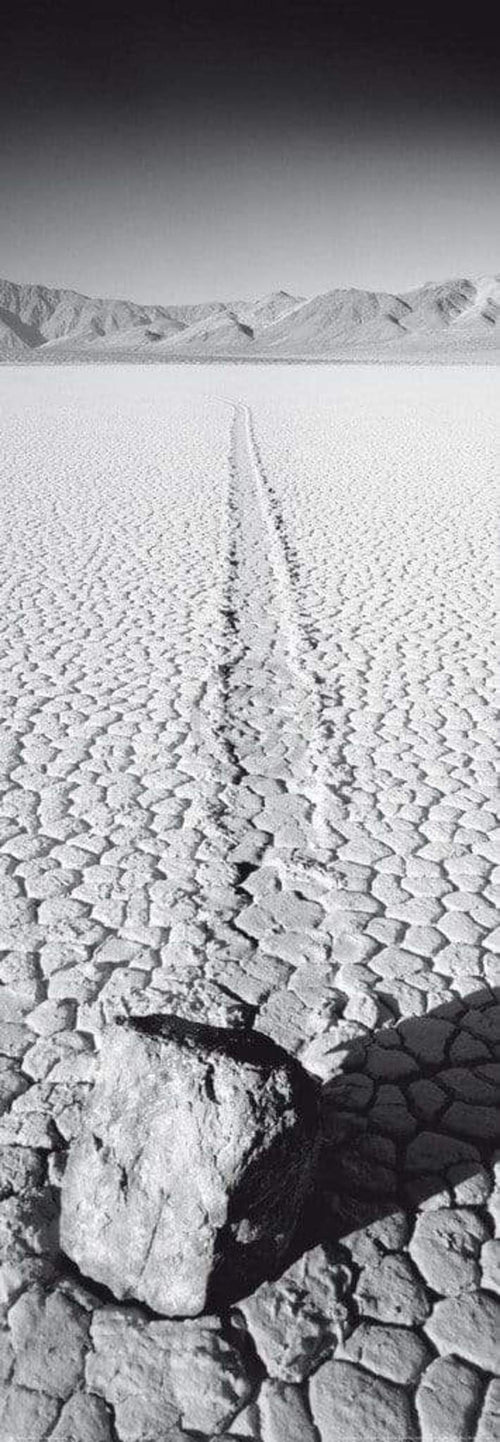 Rod Edwards The Race Track, USA affiche art 33x95cm | Yourdecoration.fr