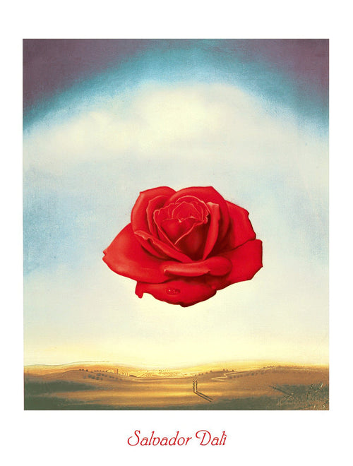 Salvador Dali Rose meditative affiche art 60x80cm | Yourdecoration.fr