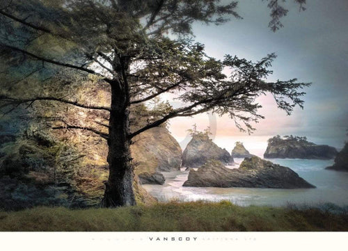 William Vanscoy All Day Dreamer affiche art 91x66cm | Yourdecoration.fr